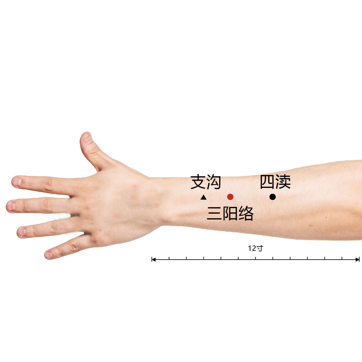 四渎