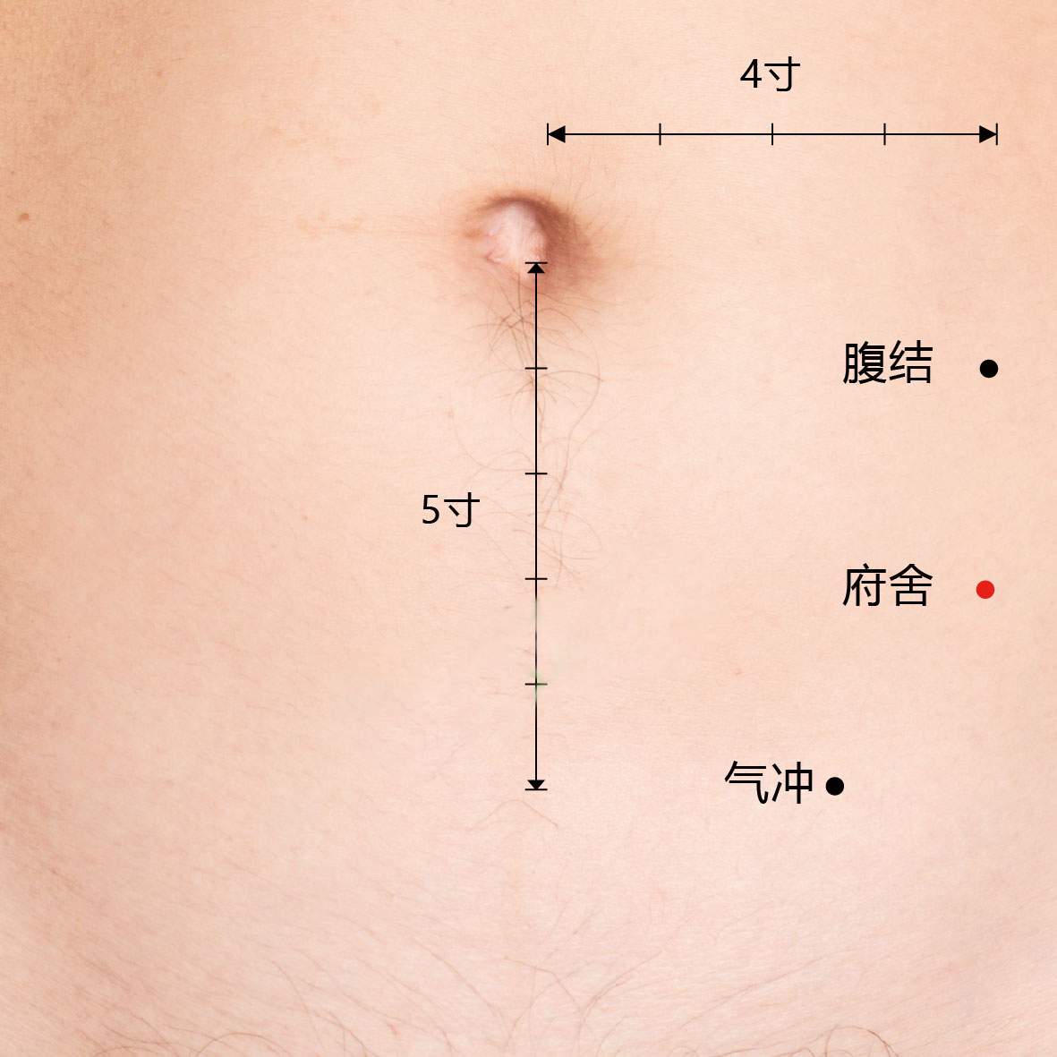 府舍
