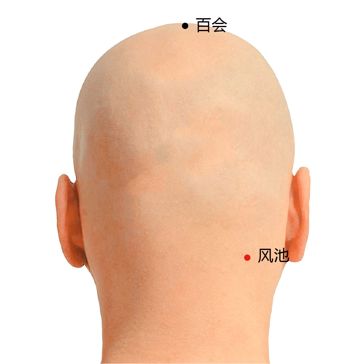 生发穴