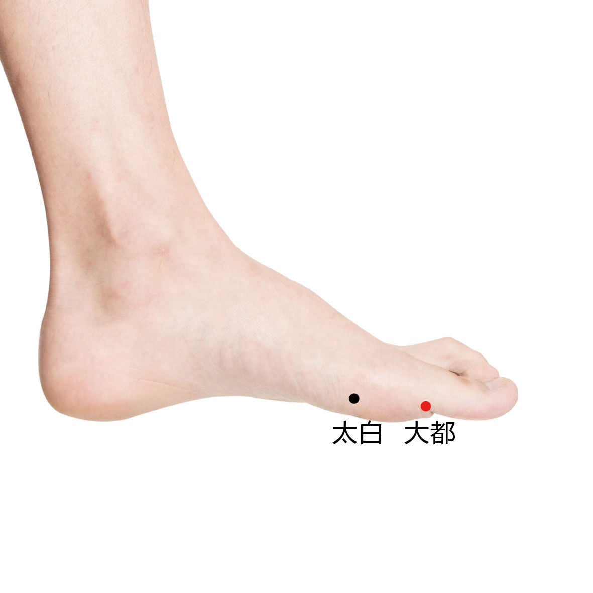 太白