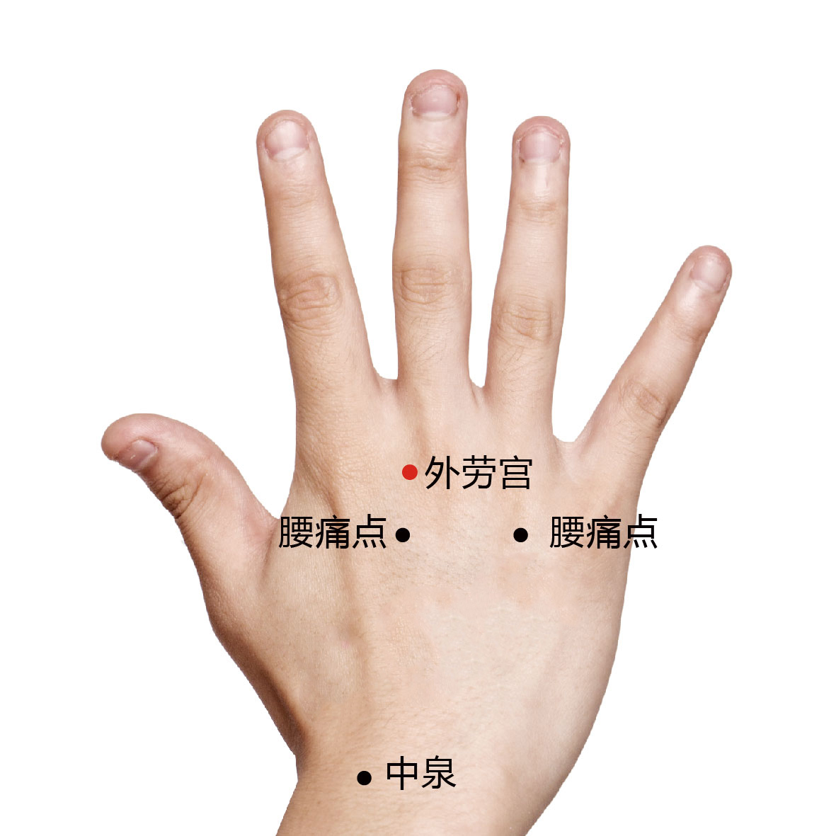 中泉