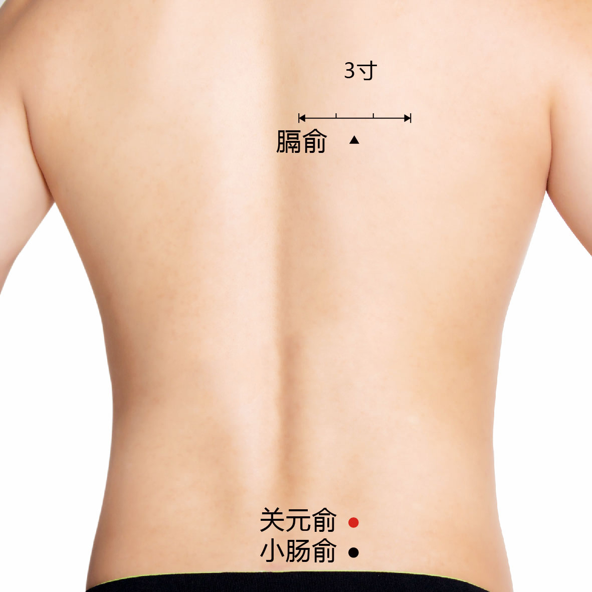 关元俞