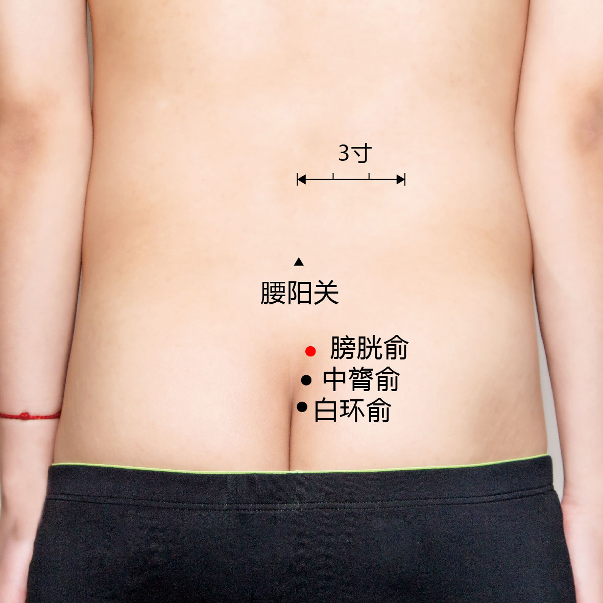 白环俞