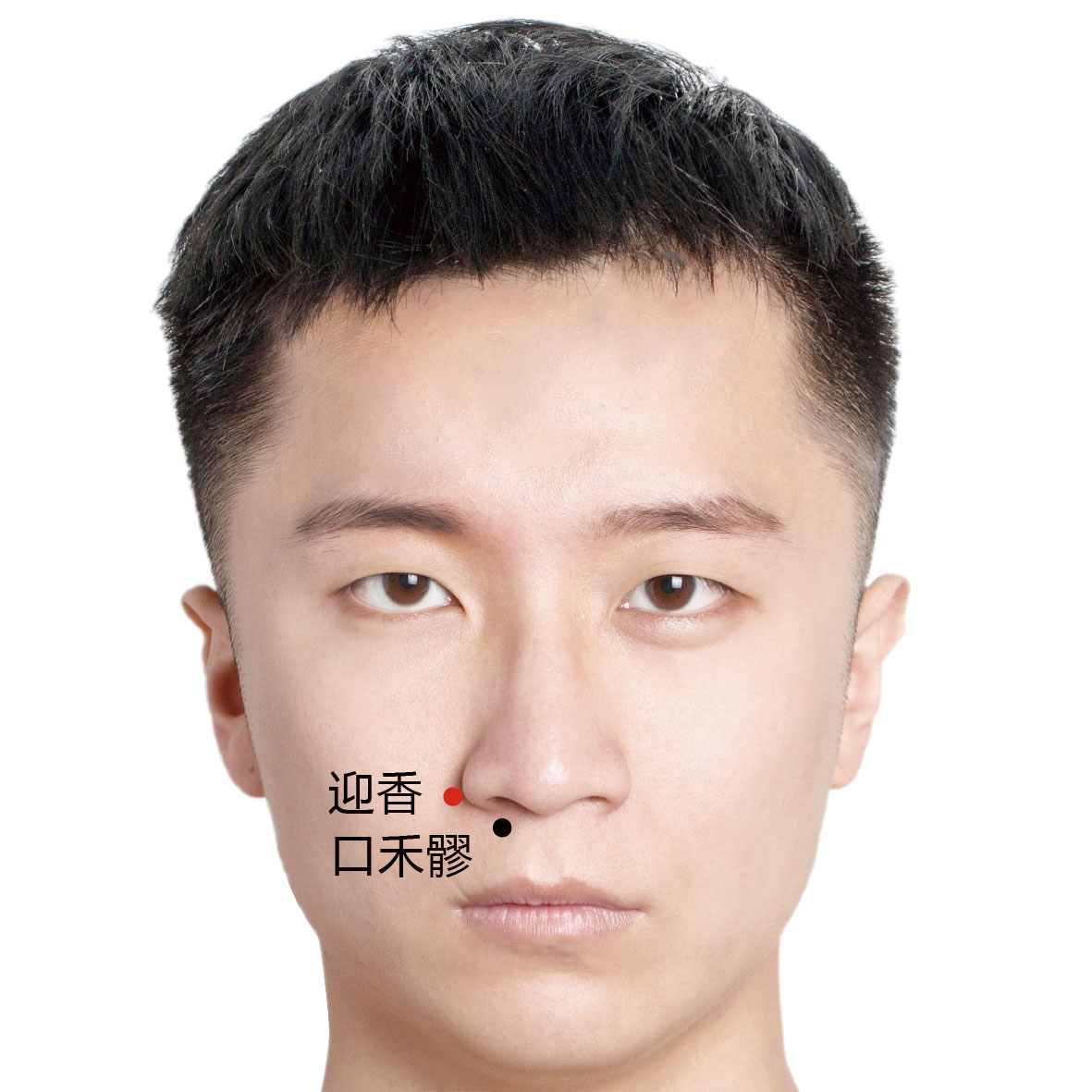 口禾髎