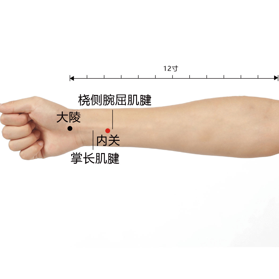 内关