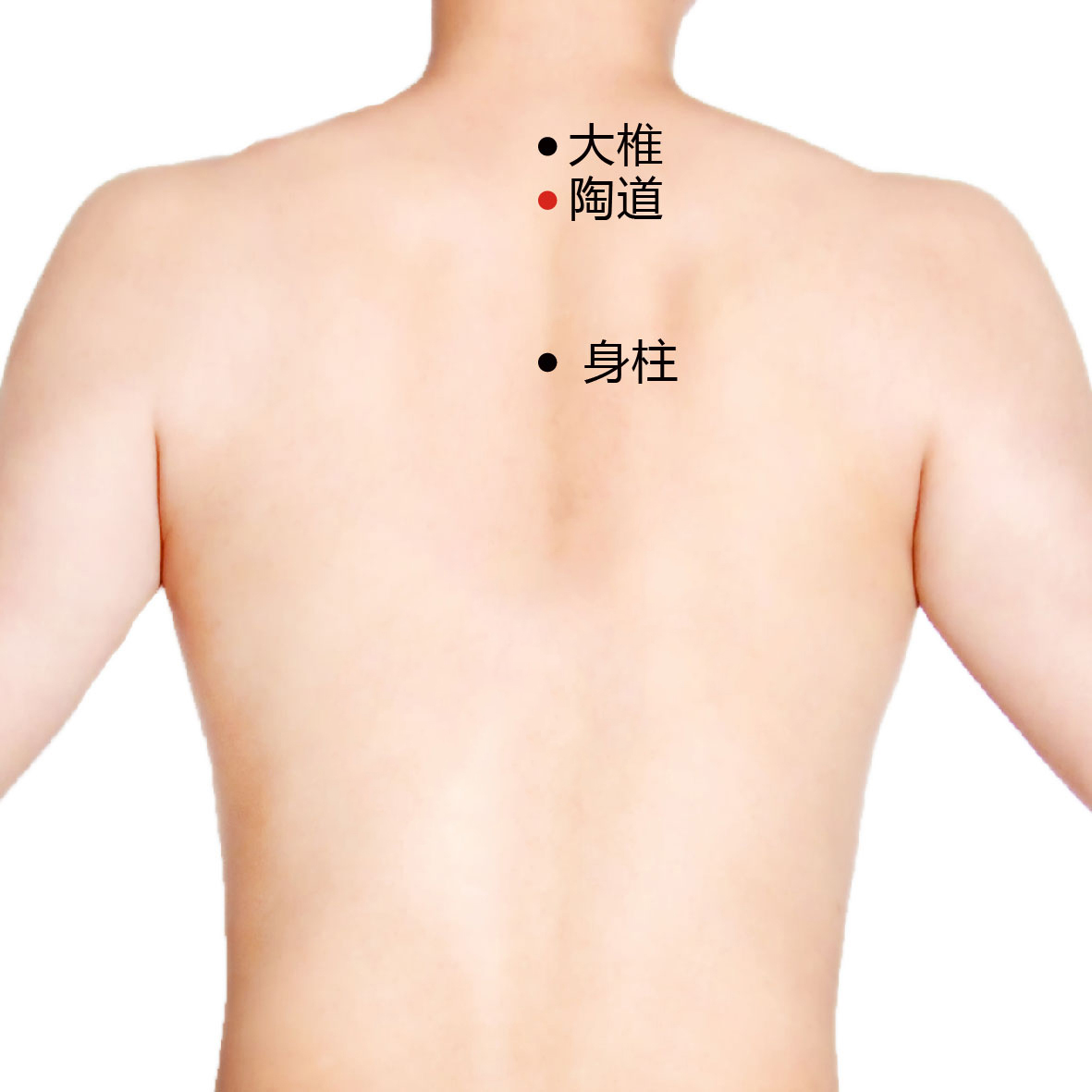 身柱