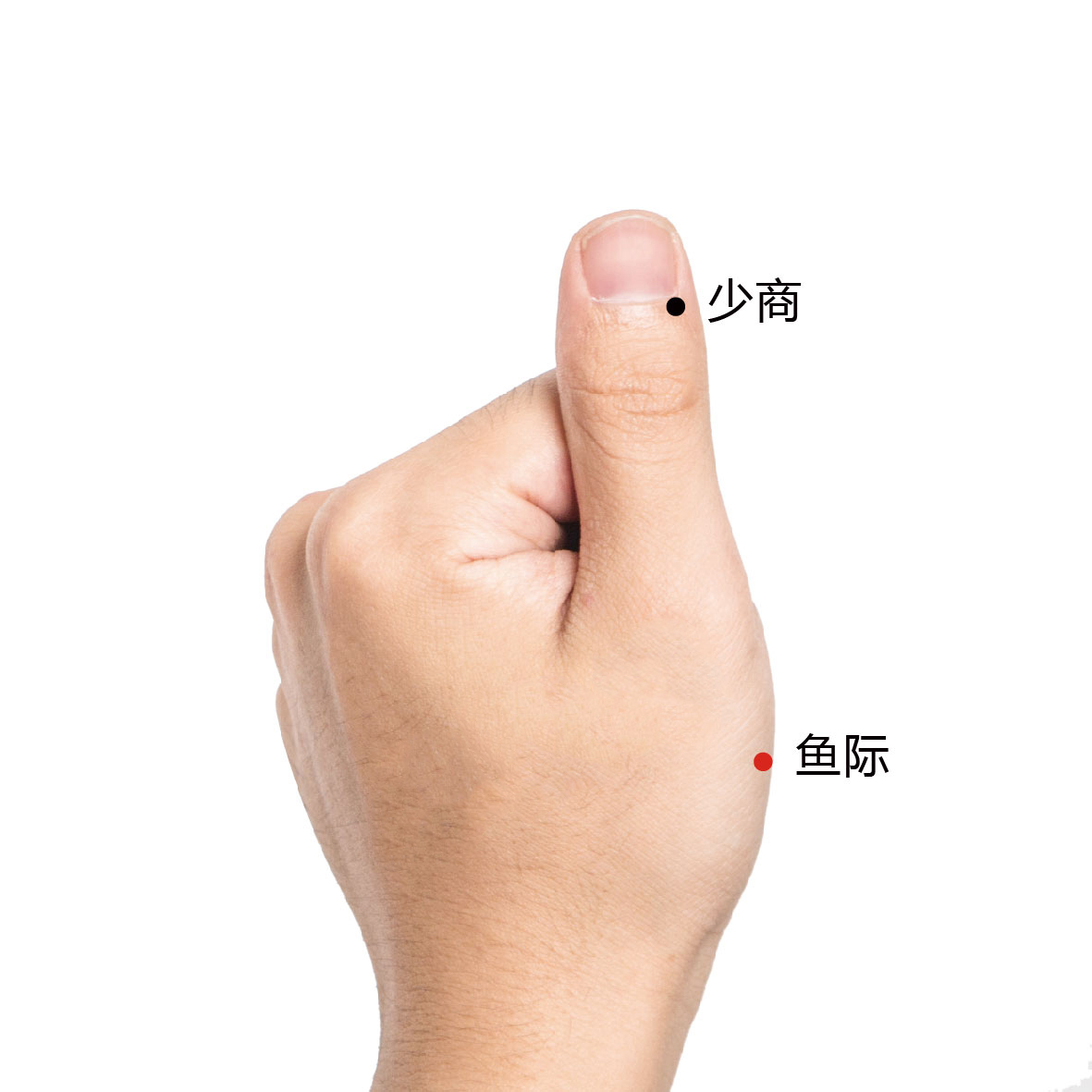 少商