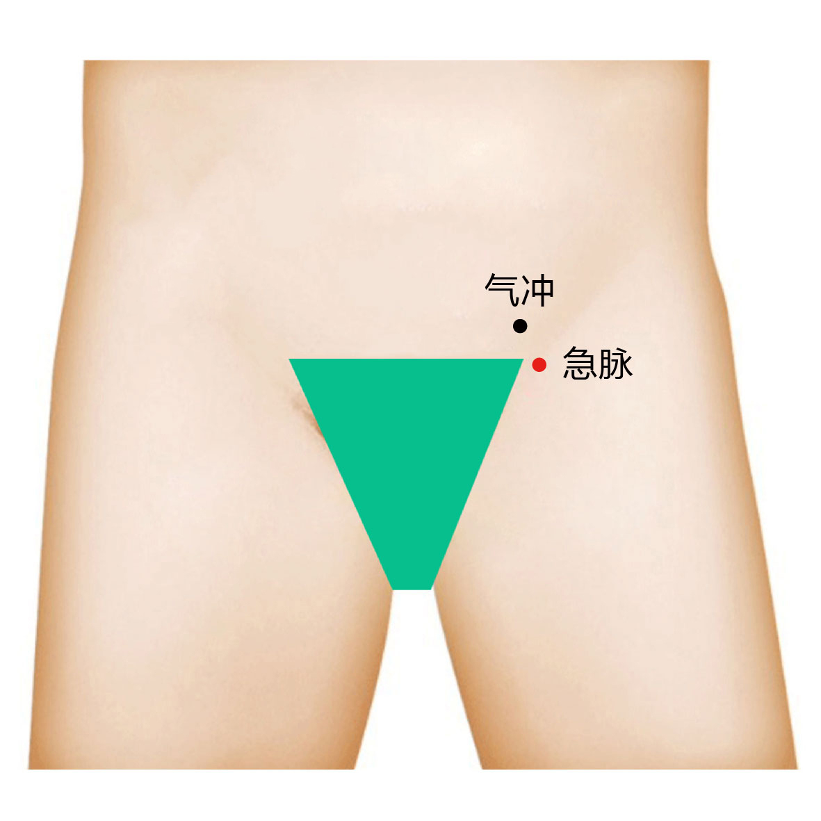 阴廉