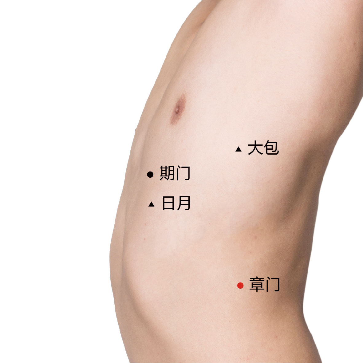 章门